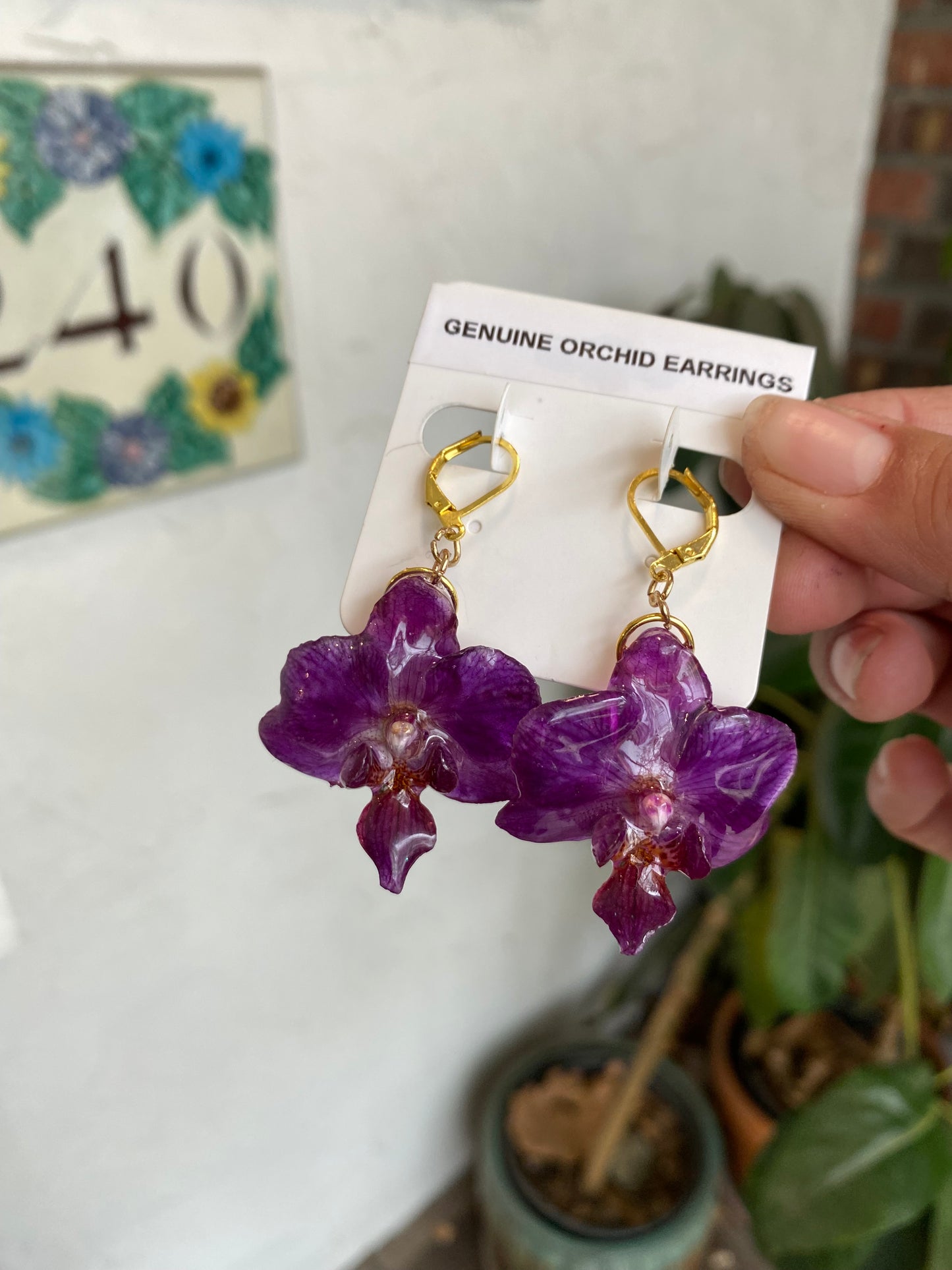 Genuine Orchid earrings