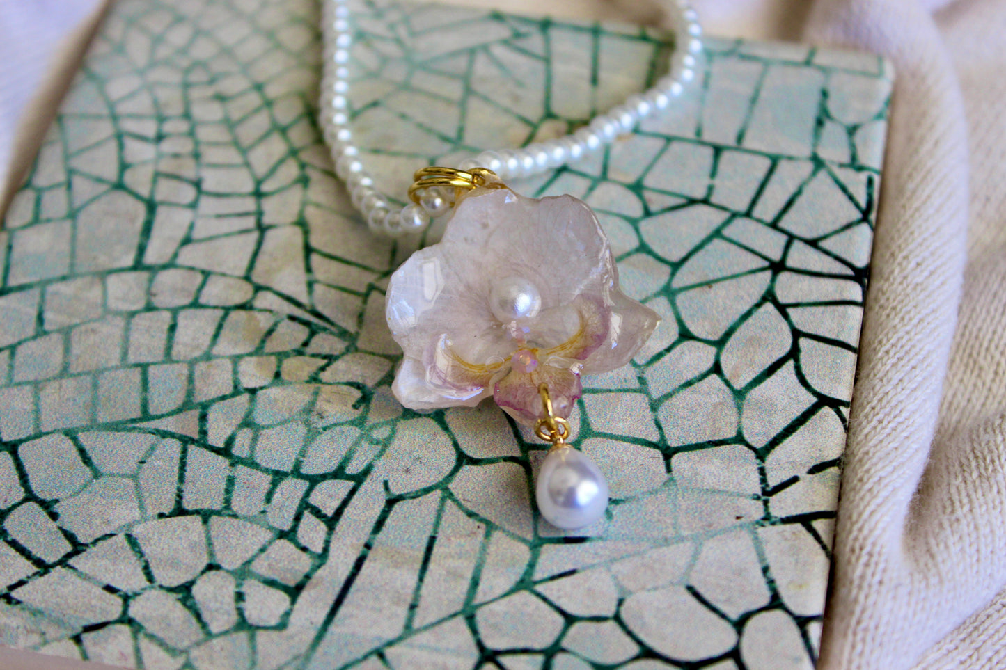 Mermaid Orchid Collection