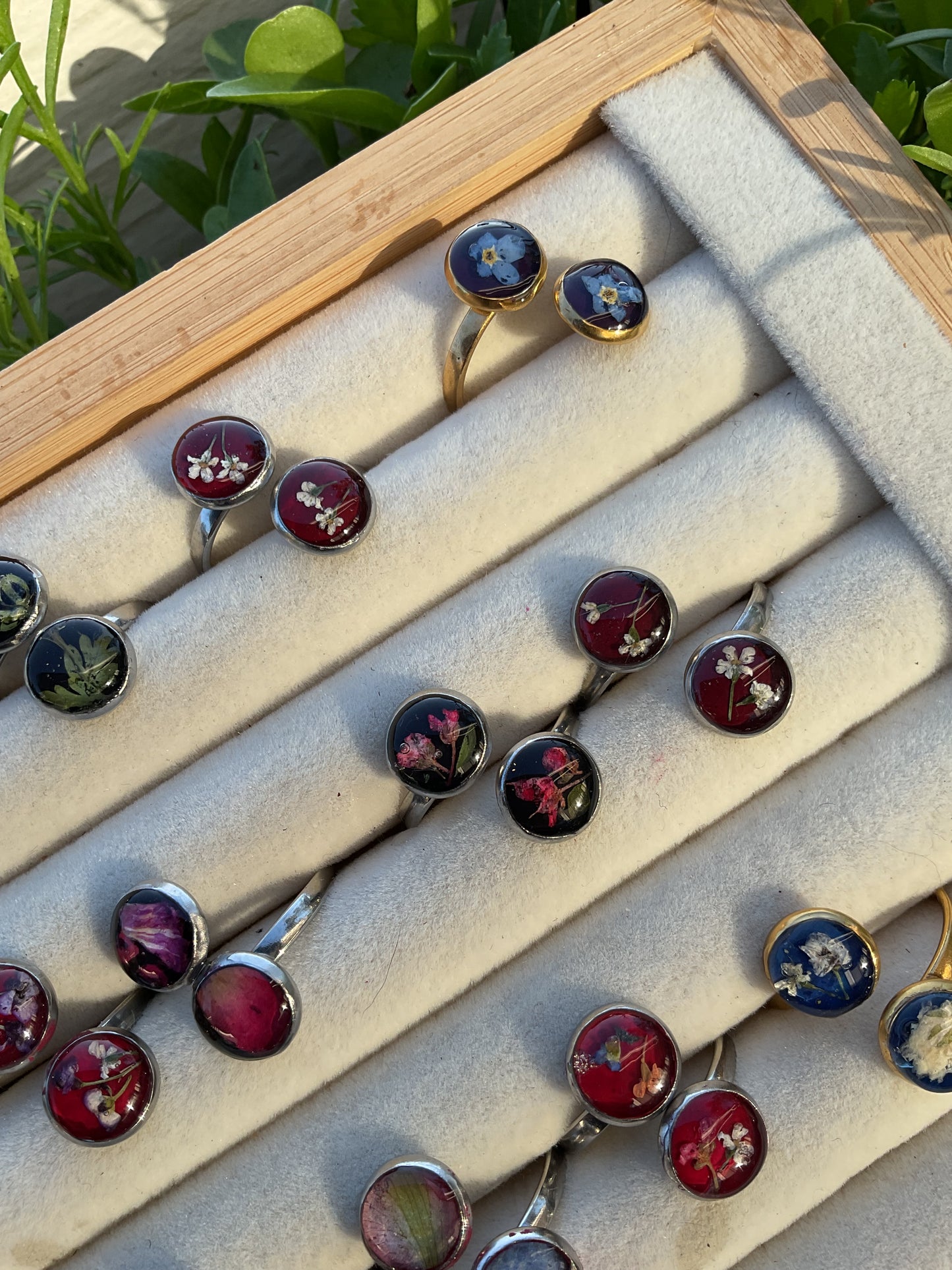 Mystery Floral Fairy Rings