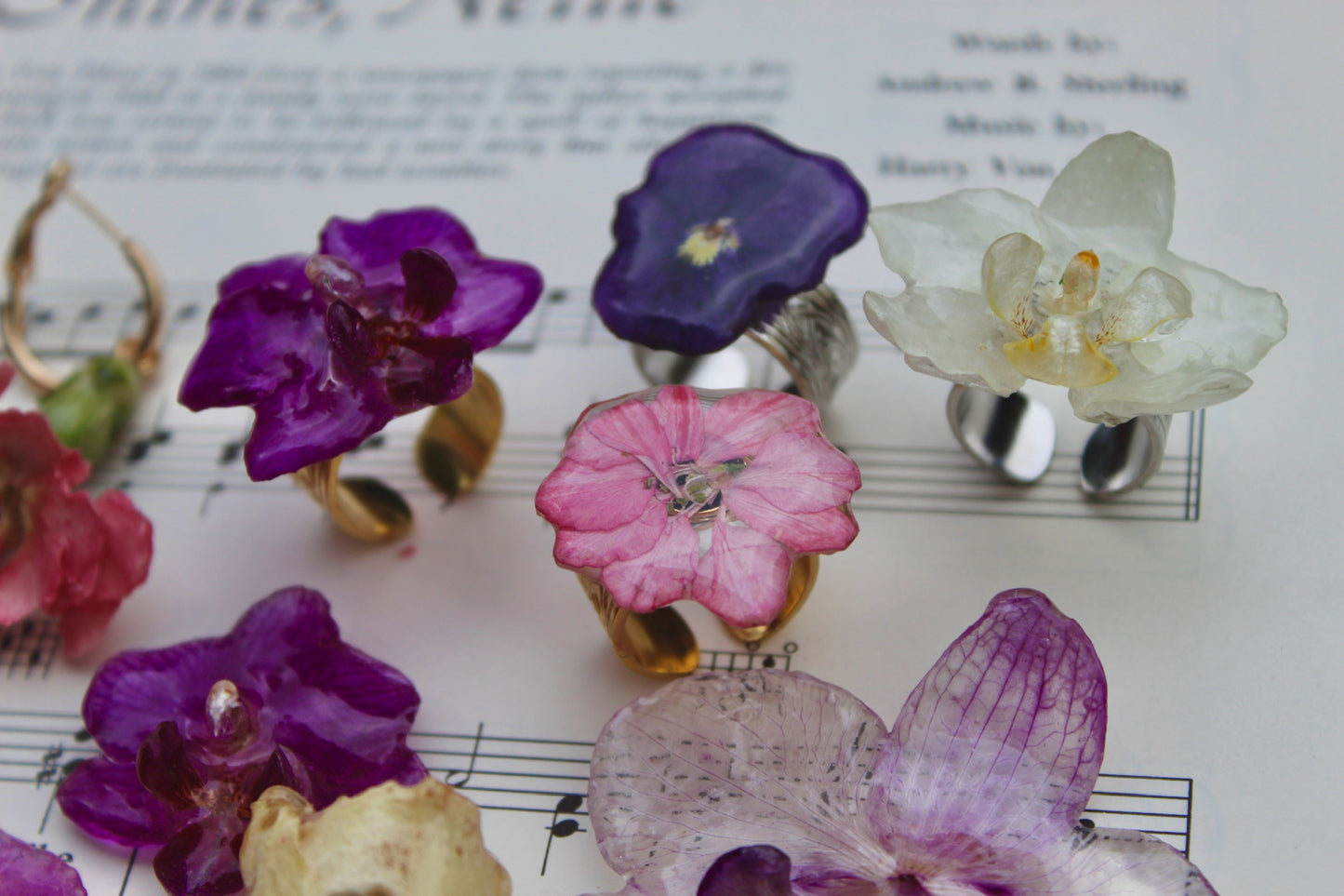 Genuine orchid rings