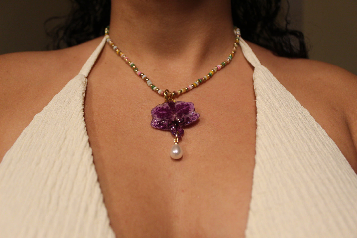 Mermaid Orchid Collection