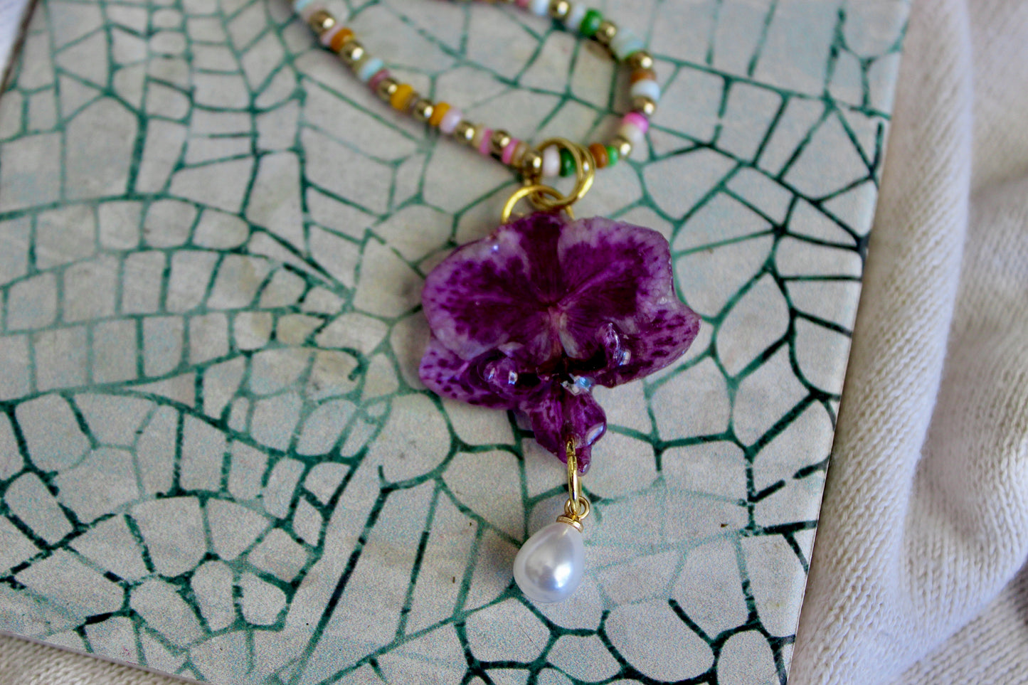 Mermaid Orchid Collection