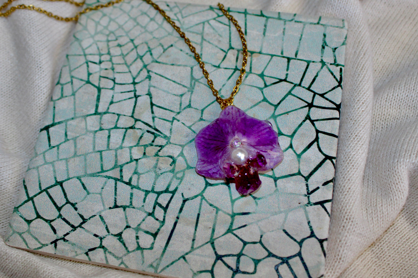 Mermaid Orchid Collection