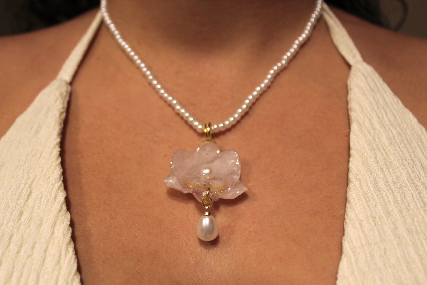 Mermaid Orchid Collection