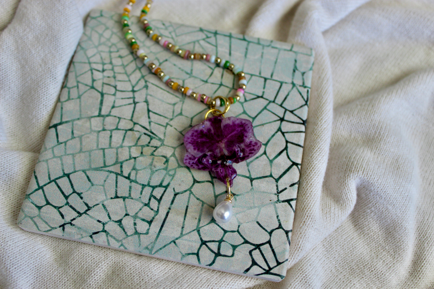 Mermaid Orchid Collection