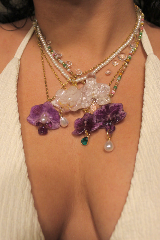 Mermaid Orchid Collection